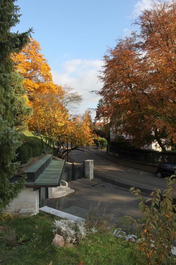 Schönes Mit Gartenblick *