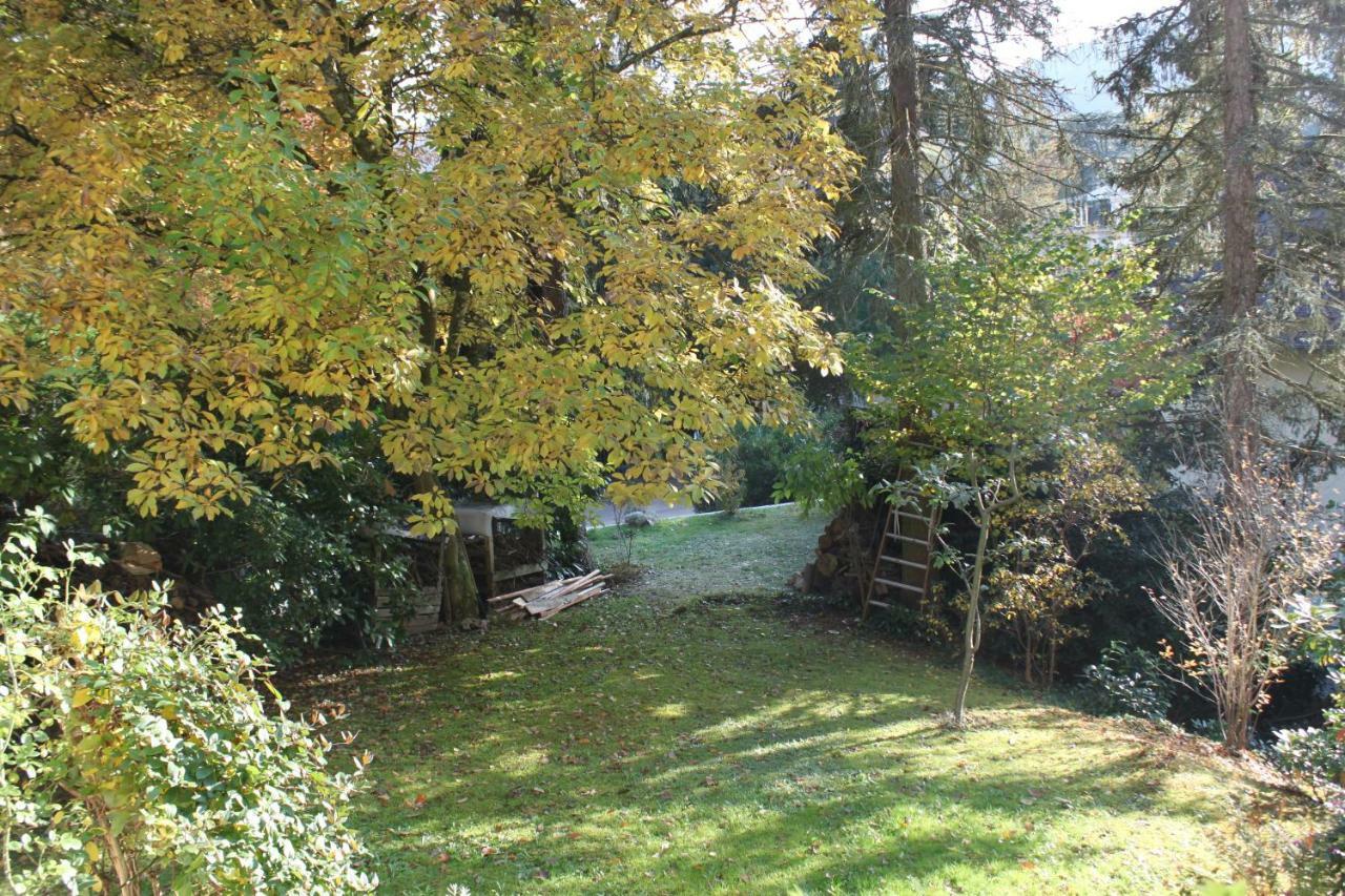 Apartment Schönes Mit Gartenblick